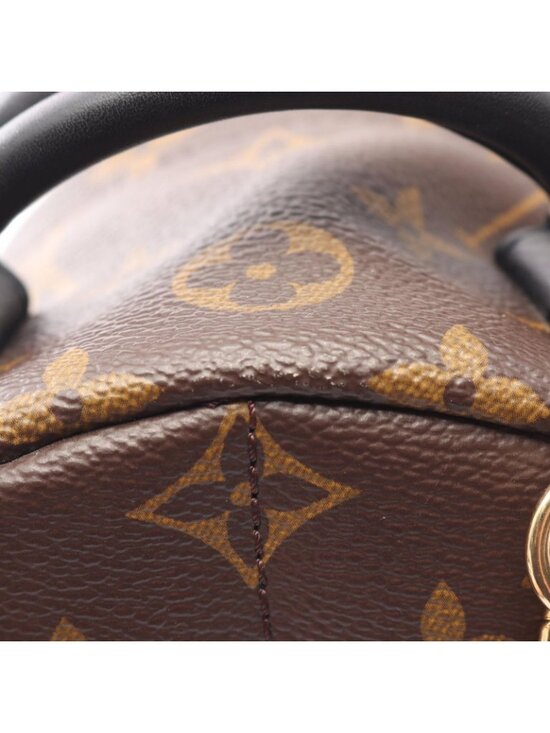 Louis Vuitton Backpack Palm Springs Mini Monogram Canvas Leather